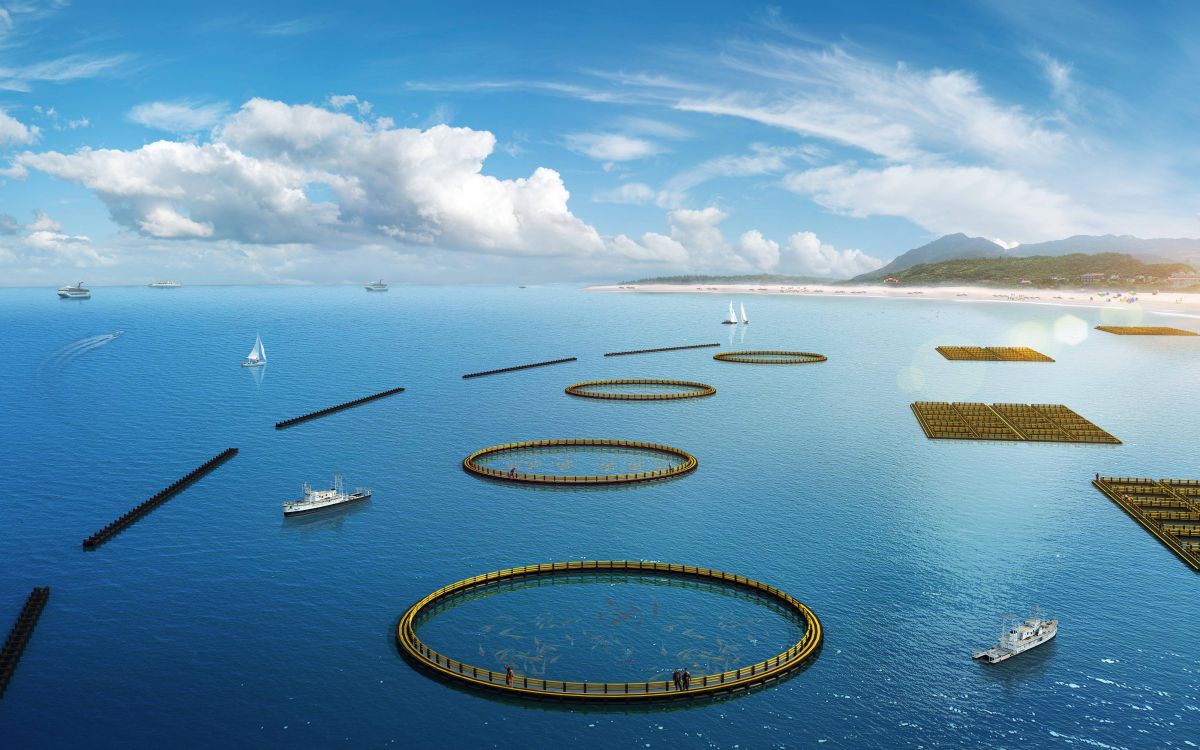 海南海晨水產(chǎn)深海養(yǎng)殖網(wǎng)箱項(xiàng)目